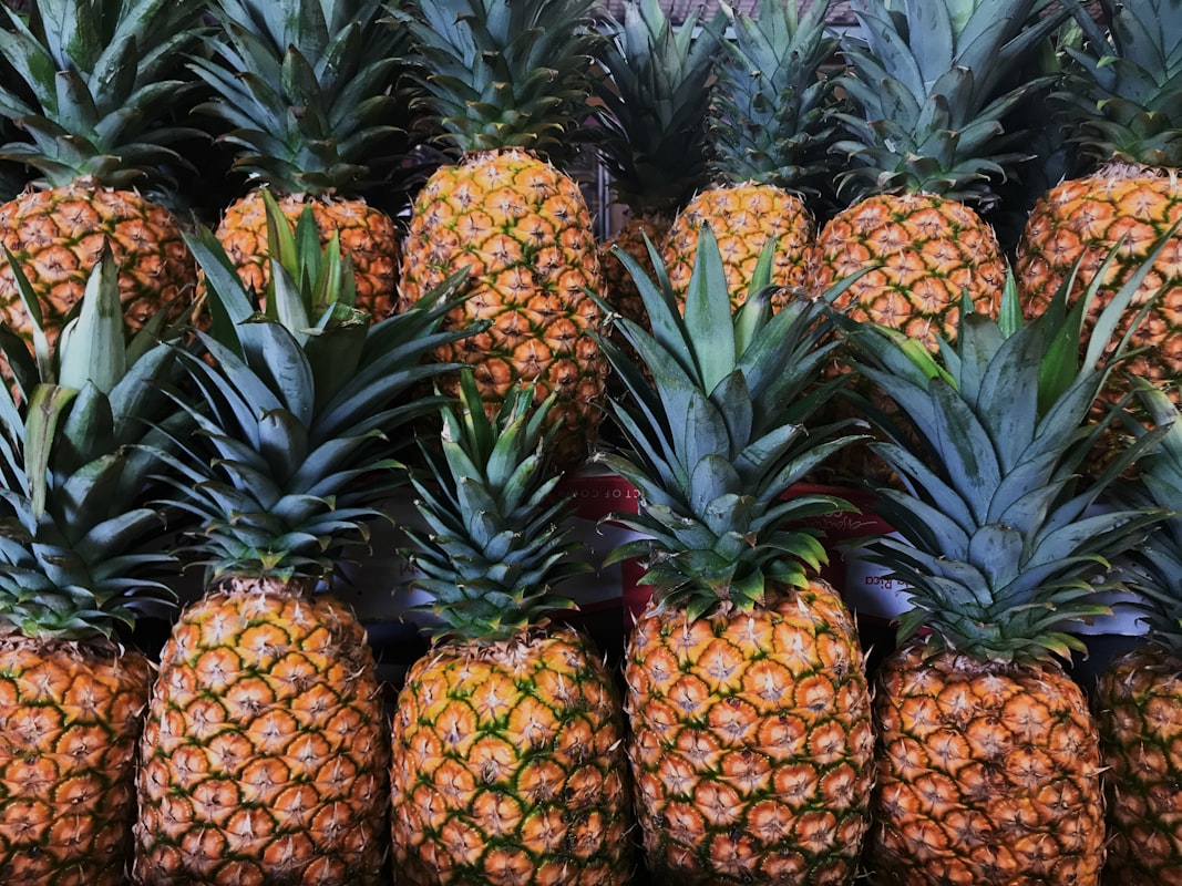 Proceso de digestión natural con enzimas
