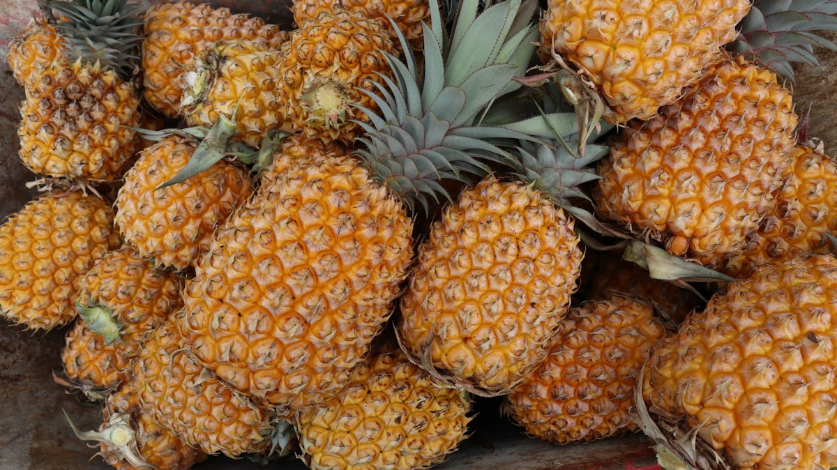 Piña con enzima bromelaina