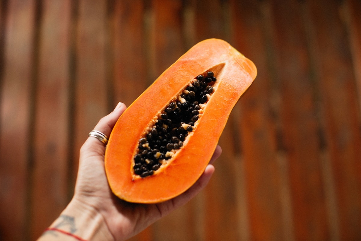 Alimentos fermentados